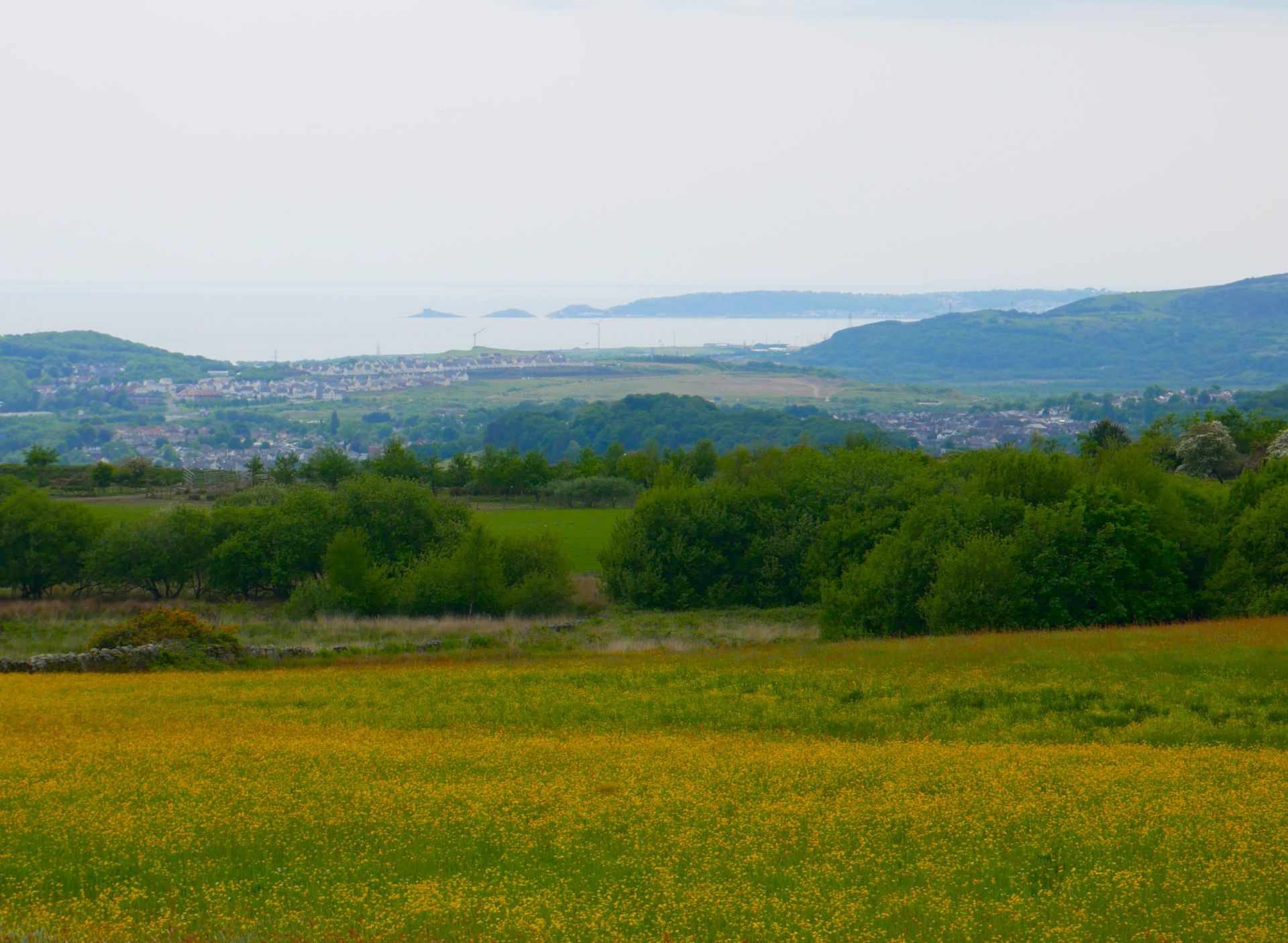 View over Swansea Bay from Mynydd Drumau